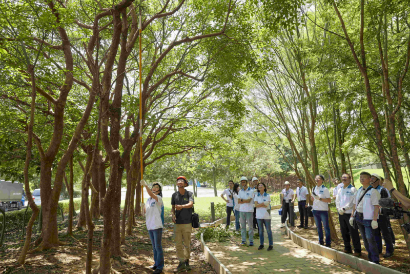 藝師教導大家認識樹木、檢查樹的健康狀況，學習修枝及碎枝覆土